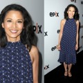 EPIX TCA Presentation & Party