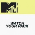 Retour de Teen wolf!