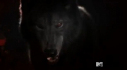 Teen Wolf Teen wolf saison 3 (B) 