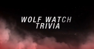 Teen Wolf Wolf watch 4 