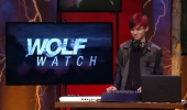 Teen Wolf Wolf watch 4 