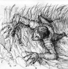 Teen Wolf P�riode 1 