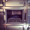 Teen Wolf P�riode 1 