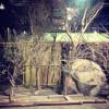 Teen Wolf P�riode 1 