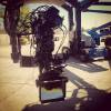 Teen Wolf P�riode 1 