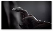 Teen Wolf P�riode 1 