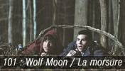 Teen Wolf Dfi Teen Wolf - 2014 