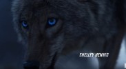 Teen Wolf Saison 6 