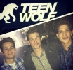 Teen Wolf P�riode 4 