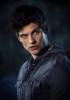 Teen Wolf Session 1 